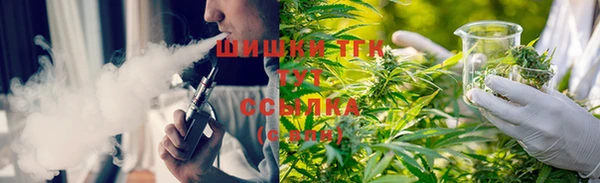 индика Баксан
