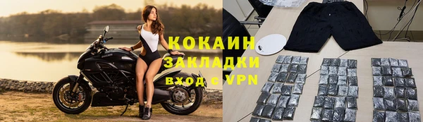 индика Баксан
