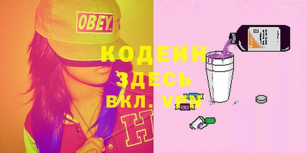 индика Баксан