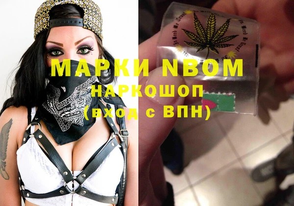 индика Баксан