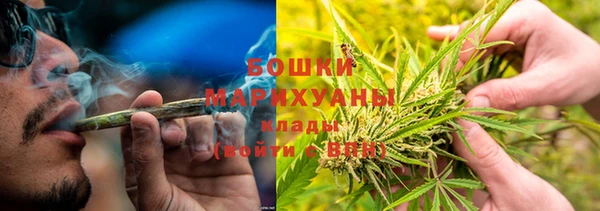 PSILOCYBIN Ростов