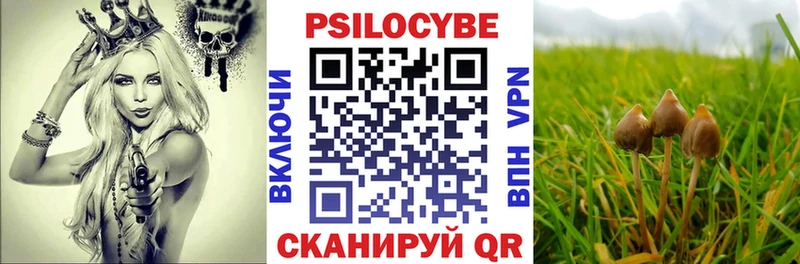 Галлюциногенные грибы Cubensis Нерюнгри